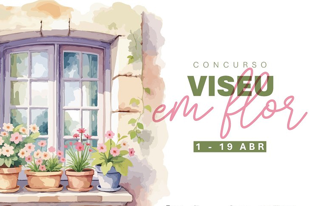 Zona histórica de Viseu floresce com o concurso “Viseu em Flor”
