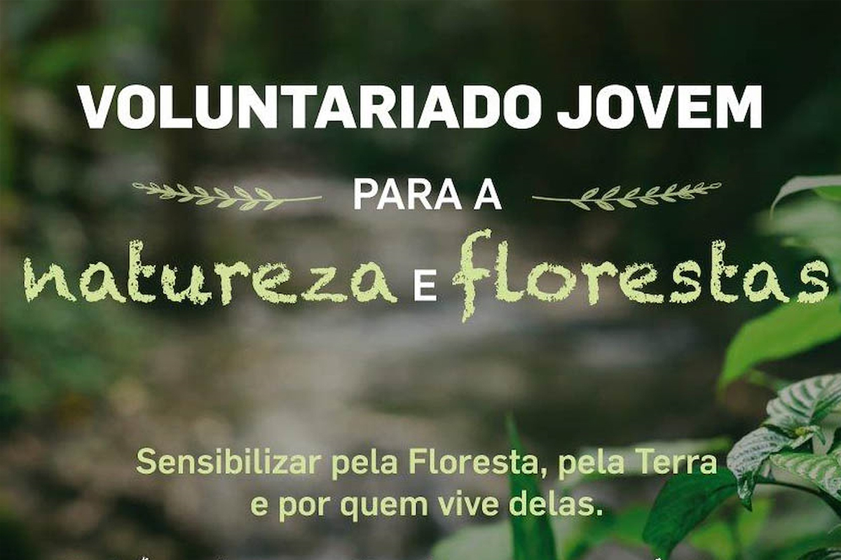 Abertas inscrições para o Programa de Voluntariado Jovem para a Natureza e Florestas