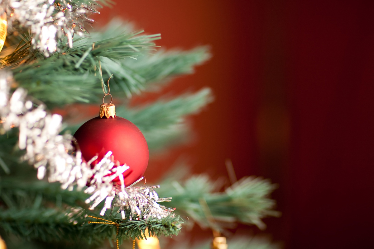Seia candidata ao título de “O Melhor Natal de Portugal”